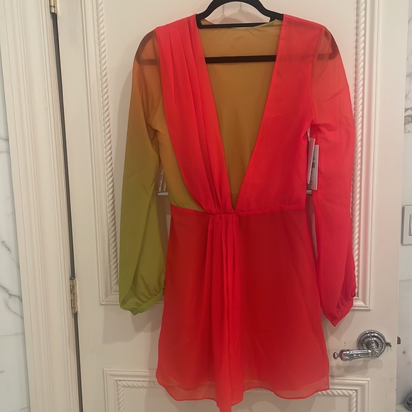 Ronny Kobo Dress - Picture 6 of 11